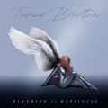 Tamar Braxton - The Makings of You