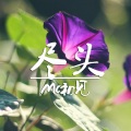 MC初见 - 初心