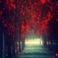 Purecloud5 - Another Love