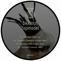 Topmodel (Deep Mix)