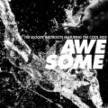 Awesome (feat. The Cool Kids)