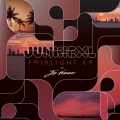 Junkie XL - Made For Each Other