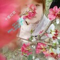 MC梦途 - 十里红妆