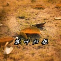 MC诗颜笑 - 落叶归根