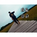 林安 - 退隐感谢所有听众 (口白)