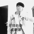 成新洋 - 无情的你