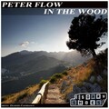 Peter Flow - In The Wood