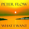 Peter Flow - What I Want (Original Mix)