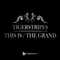 Tiger Stripes - This Is (Original Mix)