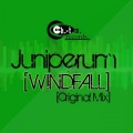 Juniperum - Windfall (Original Mix)