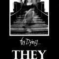 Fly Dying - They