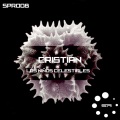 cristian - 786346622823806 (Original Mix)