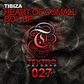 Heart Of A Small Boy EP