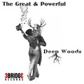 Deep Woods - The Great & Powerful (Original Mix)