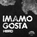 Hibrid - Imamo Gosta (Original Mix)