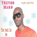 Trevor Mako - The Fool In Me