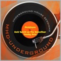 Mehdispoz - Acid Spirit On The Dancefloor