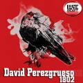 David Perezgrueso - Liberacion