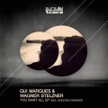 Gui Marques、Wagner Stelzner - You Want All (Original Mix)