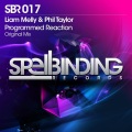 Liam Melly、Phil Taylor - Programmed Reaction (Original Mix)