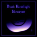 Burak Harsitlioglu - Micronysm (Original Mix)