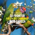 DJ Fronter - Warning
