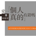 杨栋梁 - 爱一个人真的有错吗