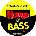 Shaun Jnr - Absolute Bass (Original Mix)