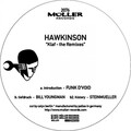 Hawkinson - Introduction