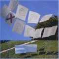 Pony Express - Pockets of Pearls