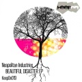Neapolitan Industries - Waf