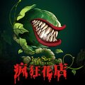 年蔓婷、王琼、杜鑫艳 - 疯狂花店