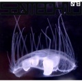 Murr、Rosina - Yellow Tape (Original Mix)