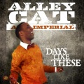 Alley Cat - Days Like These