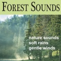 Forest Sounds