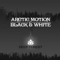 Arctic Motion - Black & White (Original Mix)