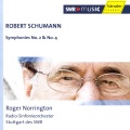 Stuttgart Radio Symphony Orchestra - I. Sostenuto assai - Allegro ma non troppo