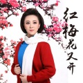 红梅花又开