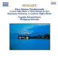 Wolfgang Sobotka、Capella Istropolitana - II. Andante grazioso