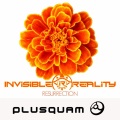 Invisible Reality - Resurection
