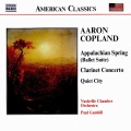 nashville chamber orchestra、Laura Ardan、Paul Gambill - Concerto for Clarinet and Orchestra