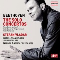 stefan vladar、Vienna Chamber Orchestra - II. Adagio un poco mosso -