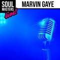 Marvin Gaye - Distant Lover