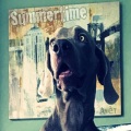 Anet - Summertime
