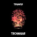 Teo Anse - Technique