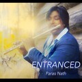Niladri Kumar - Entranced