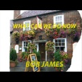 What Can We Do Now (Save The Great British Pub)