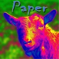 Paper - Rainbow
