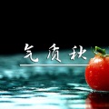 MC气质秋 - 我是一名主播