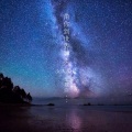 带你到世界尽头 电视剧原声专辑